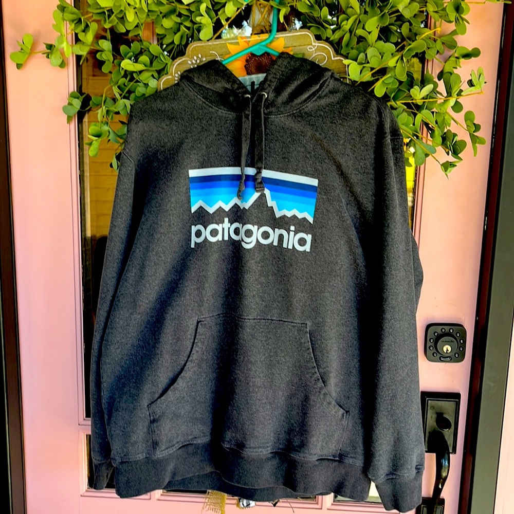 Hoodie/sweatshirt